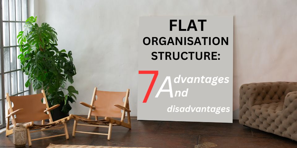 what are the advantages and disadvantages of Flat Organizational structure